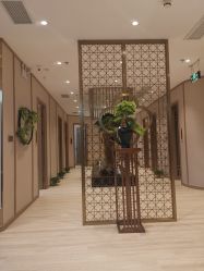 -HQ半永久纹绣纹眉