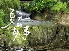 -紫云谷景区