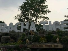 -是拉差龙虎园(Permanently closed)