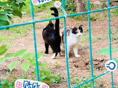 -香木香羊(小汤山店)