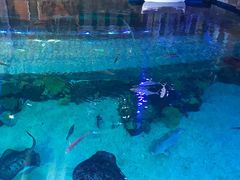 -华夏文旅海洋公园