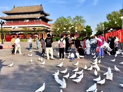 -天津妈祖文化园