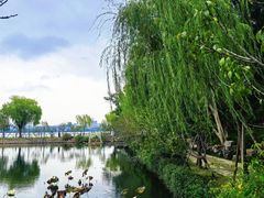 -无锡蠡湖国家湿地公园-蠡园