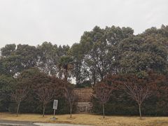 -上海滨江森林公园