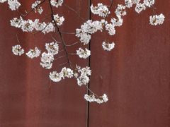 -龙美术馆(西岸馆)