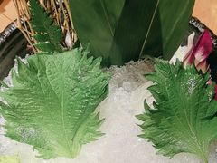 -藤原布二·八佰善会席料理(奥体店)