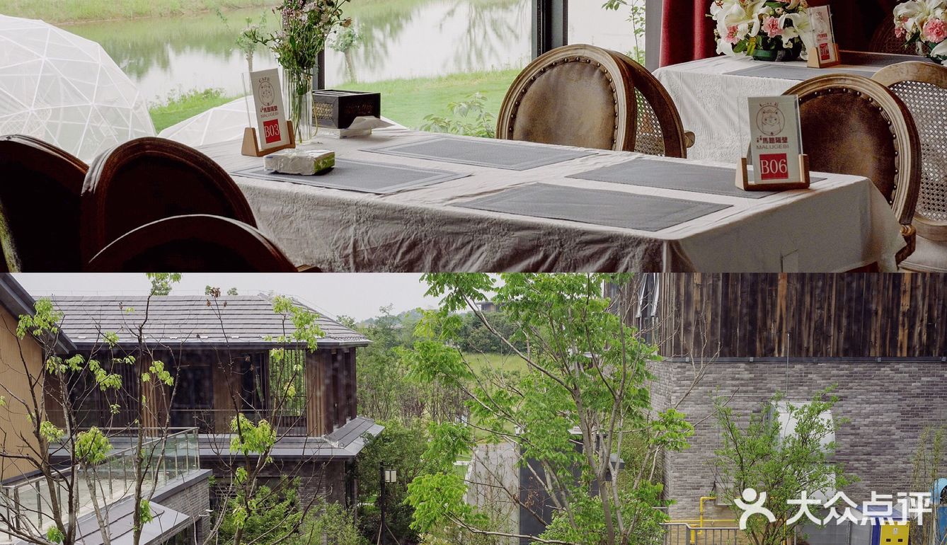 南京周边游🌳自驾1h就能到🚙去森林里吸吸氧