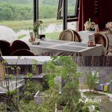 南京周边游🌳自驾1h就能到🚙去森林里吸吸氧