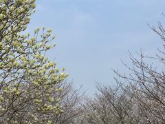 -凤凰沟景区
