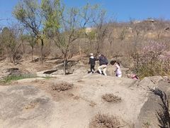 -白水寺森林公园