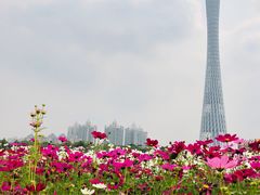-海心沙亚运公园