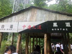-青峰峡国家森林公园
