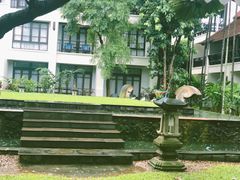 -清迈菩提塞雷纳