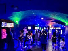 -烟台海昌鲸鲨海洋公园