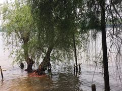 -天目湖山水园