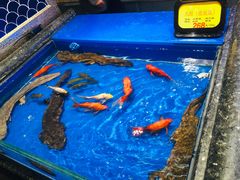 -万宝海鲜舫(劳动公园店)