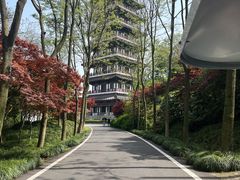 -宜兴龙背山森林公园
