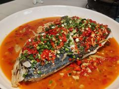 -全乐鱼馆·淳牌有机鱼直营店