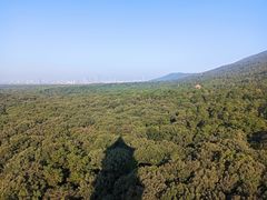 -灵谷景区