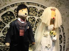 -济州岛泰迪熊博物馆