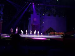 -灵玲国际马戏城