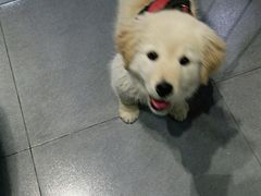 -牧马人宠物医院