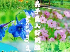 -百里天路