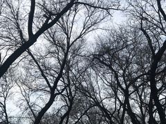 -北京国子监胡同