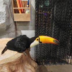 -Zoolung Zoolung动物主题公园(海信广场店)