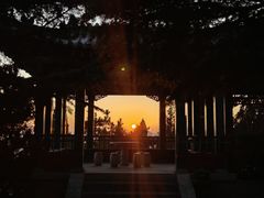 -龙口南山旅游景区