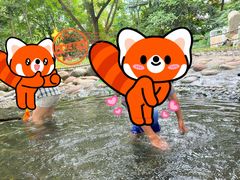 -成都市活水公园