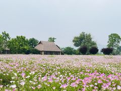 -良渚古城遗址公园