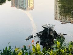 -四海公园(南山区)