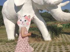 -廊坊市自然公园