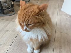 -吉派索自家烘焙咖啡馆(千佛山店)