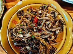 -印象鲵宴·张家界地标美食名片(溪布街店)