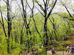 -丹东凤凰山景区