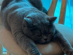 -ID.PHOTO照相馆(嘉里企业中心店)