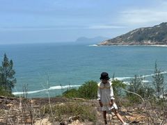 -广东惠东海龟国家级自然保护区