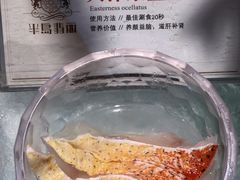 -半岛翡丽海鲜自助餐厅(观风亭店)