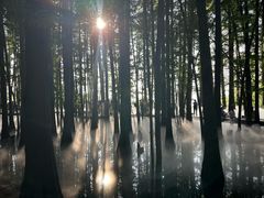 -东湖落雁景区
