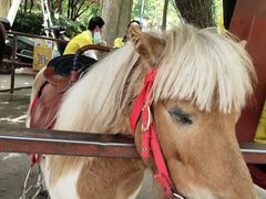 -西安秦岭野生动物园