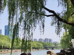 -运河游船(武林门码头)