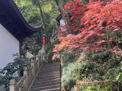 -韬光茶庵