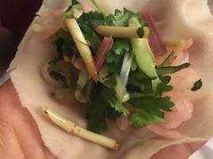 -杨姨妈丝娃娃(花果园店)