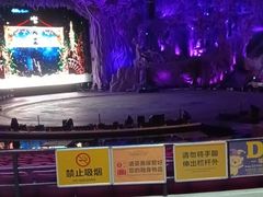 -广州长隆国际大马戏