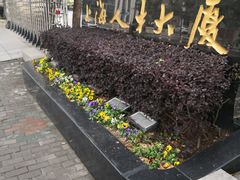 -上海人才大厦