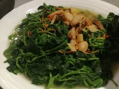 -花溪雨·森林餐厅(石基店)