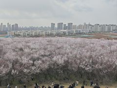 -明秦王墓遗址