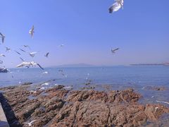 -栈桥景区